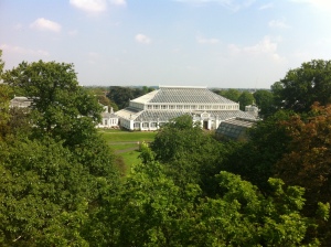 Temperate House (from Treetop walkway)